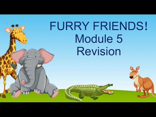 FURRY FRIENDS! Module 5 Revision