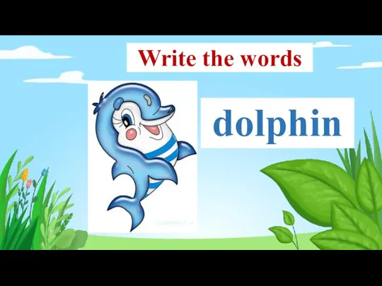 dolphin Write the words