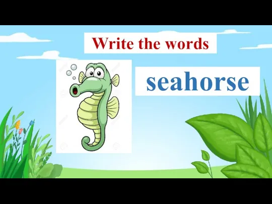 seahorse Write the words