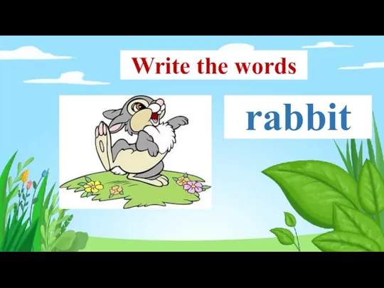 rabbit Write the words