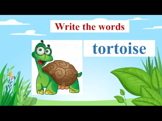 tortoise Write the words