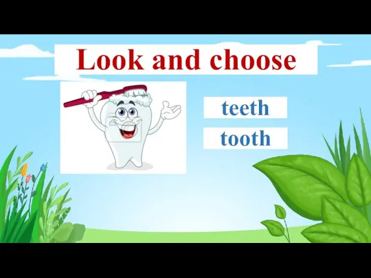 teeth tooth Look and choose