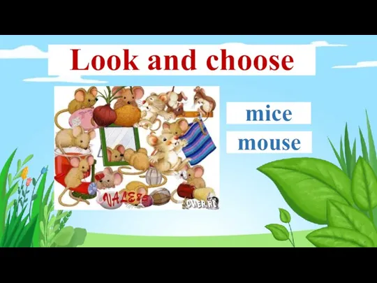 mice mouse Look and choose