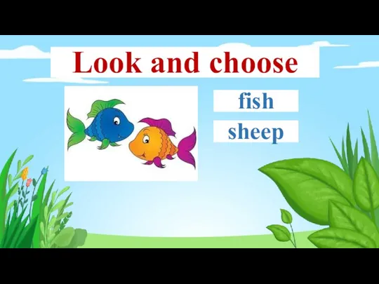 fish sheep Look and choose