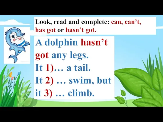 A dolphin hasn’t got any legs. It 1)… a tail. It 2)