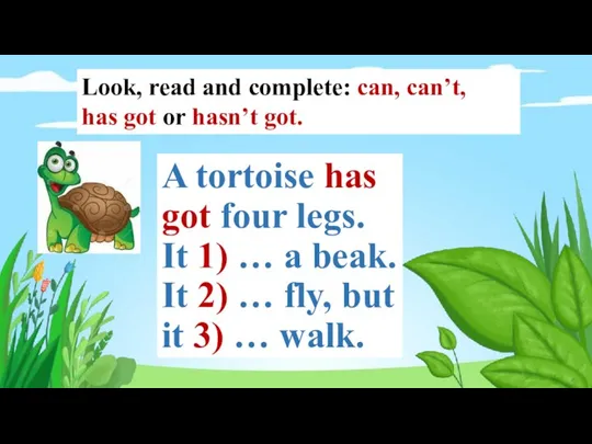 A tortoise has got four legs. It 1) … a beak. It