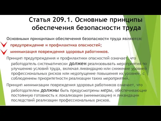 Статья 209.1. Основные принципы обеспечения безопасности труда Основными принципами обеспечения безопасности труда