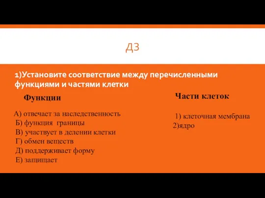 ДЗ 1)Установите соответствие между перечисленными функциями и частями клетки Функции А) отвечает