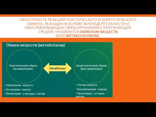 ОВОКУПНОСТЬ РЕАКЦИЙ ПЛАСТИЧЕСКОГО И ЭНЕРГЕТИЧЕСКОГО ОБМЕНА, ЛЕЖАЩИХ В ОСНОВЕ ЖИЗНЕДЕЯТЕЛЬНОСТИ И ОБУСЛАВЛИВАЮЩИХ