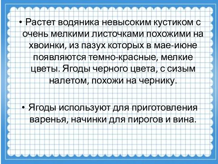 Растет водяника невысоким кустиком с очень мелкими листочками похожими на хвоинки, из