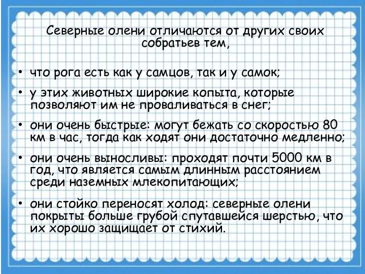 Северные олени отличаются от других своих собратьев тем, что рога есть как