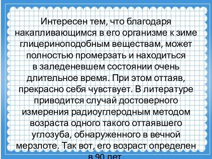 Интересен тем, что благодаря накапливающимся в его организме к зиме глицериноподобным веществам,