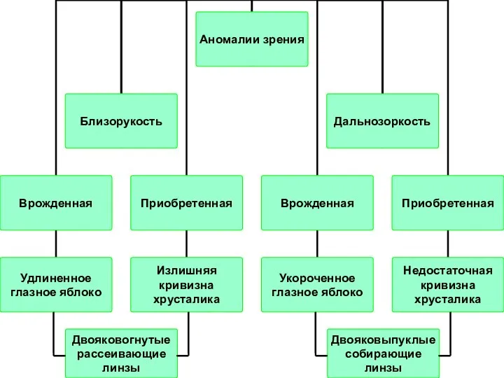 Двояковогнутые рассеивающие линзы Двояковыпуклые собирающие линзы