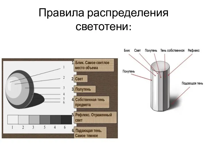 Правила распределения светотени: