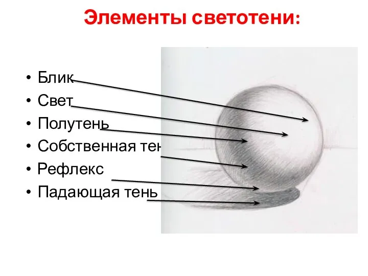 Элементы светотени: Блик Свет Полутень Собственная тень Рефлекс Падающая тень