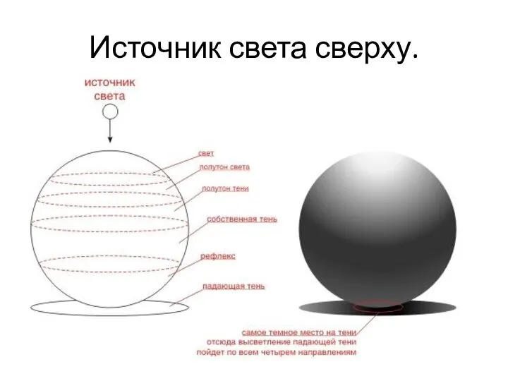 Источник света сверху.