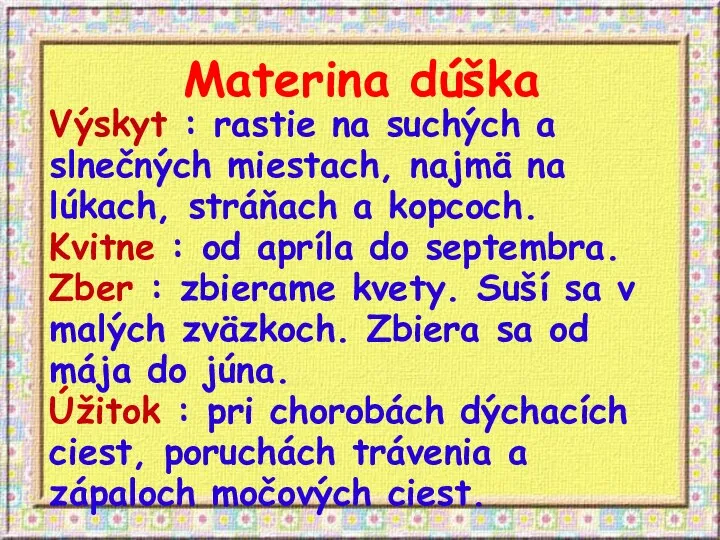 Materina dúška Výskyt : rastie na suchých a slnečných miestach, najmä na