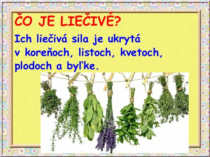 ČO JE LIEČIVÉ? Ich liečivá sila je ukrytá v koreňoch, listoch, kvetoch, plodoch a byľke.