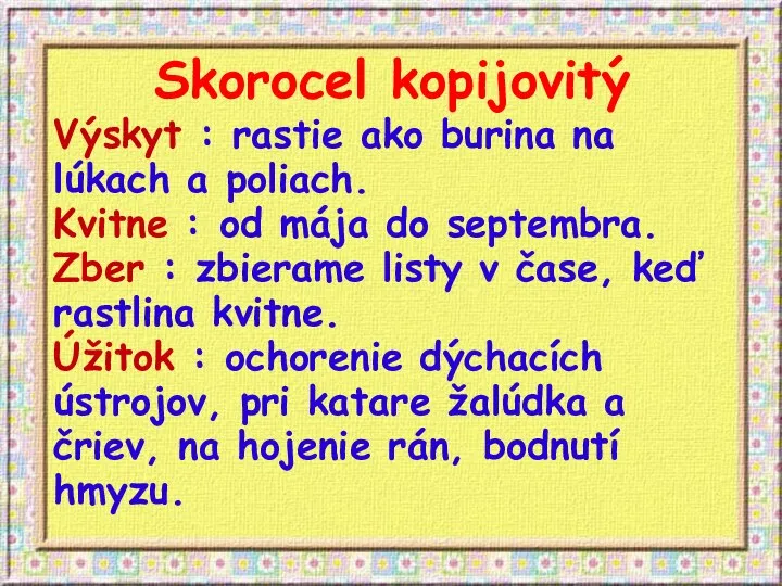 Skorocel kopijovitý Výskyt : rastie ako burina na lúkach a poliach. Kvitne