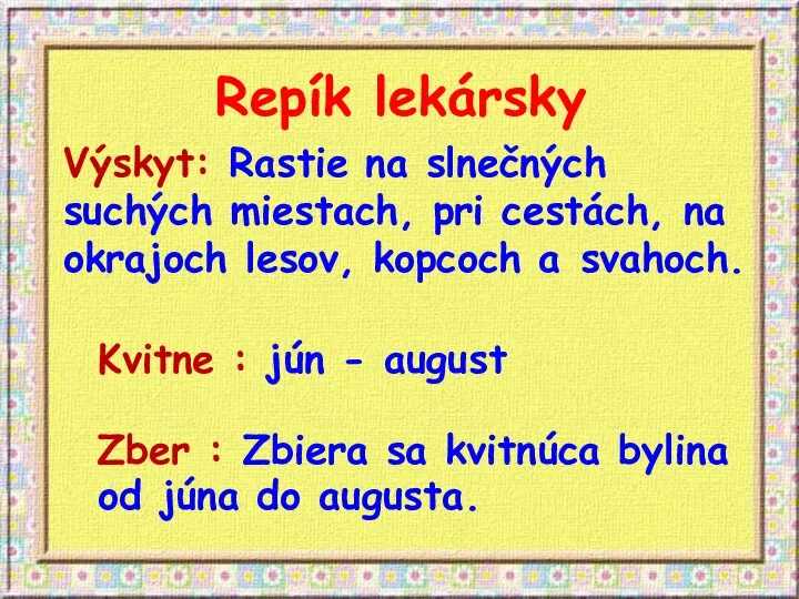 Repík lekársky Výskyt: Rastie na slnečných suchých miestach, pri cestách, na okrajoch