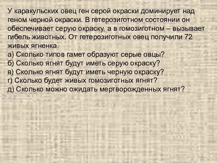 У каракульских овец ген серой окраски доминирует над геном черной окраски. В