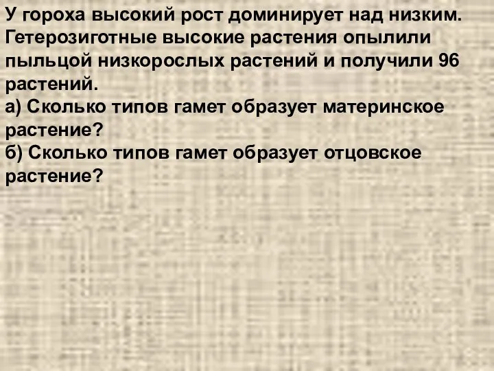 У гороха высокий рост доминирует над низким. Гетерозиготные высокие растения опылили пыльцой