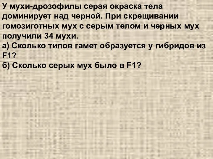 У мухи-дрозофилы серая окраска тела доминирует над черной. При скрещивании гомозиготных мух