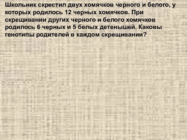 Школьник скрестил двух хомячков черного и белого, у которых родилось 12 черных