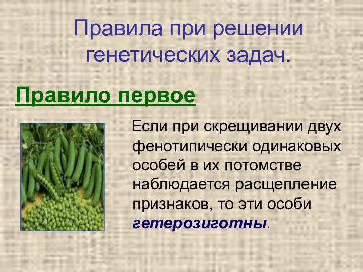 Правило первое Если при скрещивании двух фенотипически одинаковых особей в их потомстве