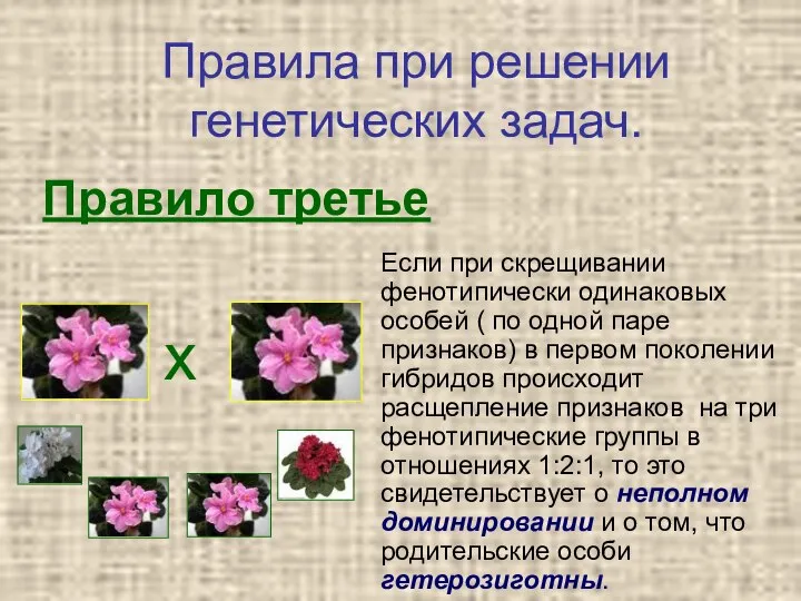 Если при скрещивании фенотипически одинаковых особей ( по одной паре признаков) в