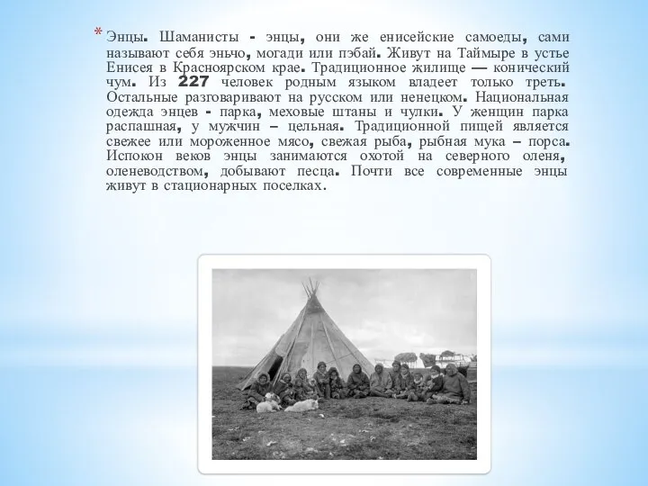 Энцы. Шаманисты - энцы, они же енисейские самоеды, сами называют себя эньчо,