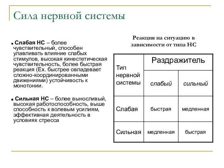 Сила нервной системы Слабая НС – более чувствительный, способен улавливать влияние слабых