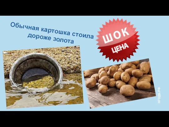 Обычная картошка стоила дороже золота