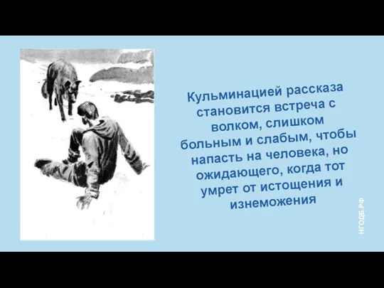 Кульминацией рассказа становится встреча с волком, слишком больным и слабым, чтобы напасть