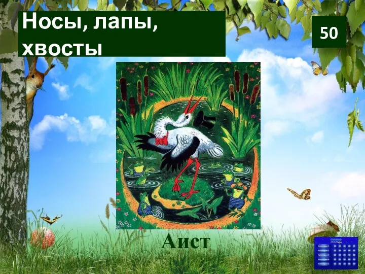 Носы, лапы, хвосты Аист 50