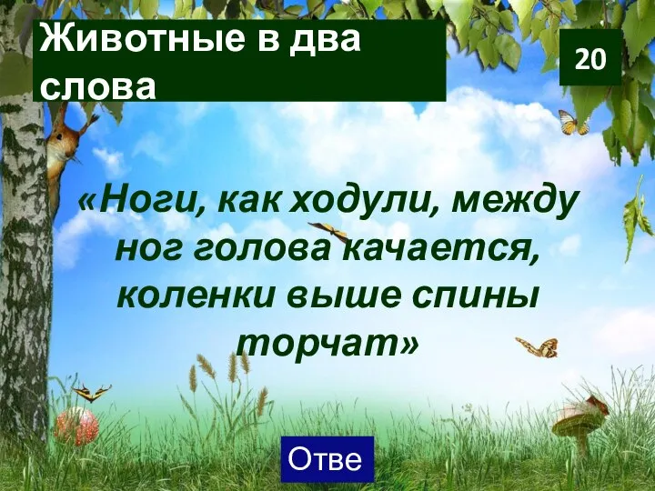 Животные в два слова 20 «Ноги, как ходули, между ног голова качается, коленки выше спины торчат»