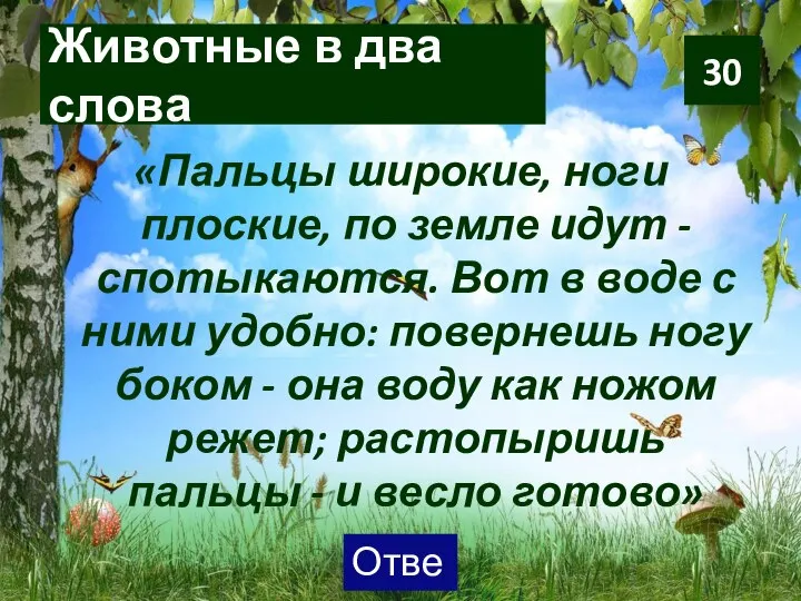 Животные в два слова «Пальцы широкие, ноги плоские, по земле идут -