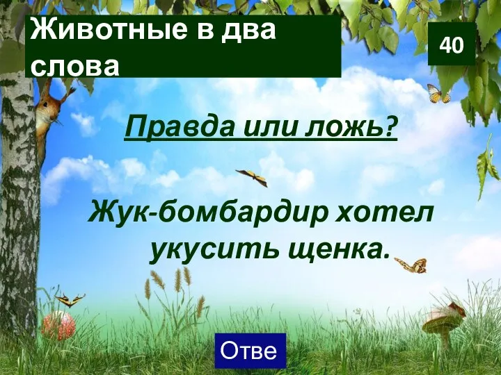 Животные в два слова Правда или ложь? Жук-бомбардир хотел укусить щенка. 40