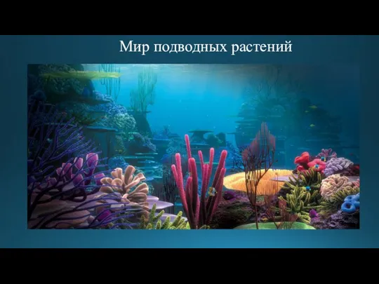 Мир подводных растений