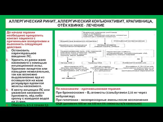 АЛЛЕРГИЧЕСКИЙ РИНИТ, АЛЛЕРГИЧЕСКИЙ КОНЪЮНКТИВИТ, КРАПИВНИЦА, ОТЁК КВИНКЕ - ЛЕЧЕНИЕ До начала терапии