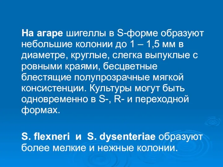 На агаре шигеллы в S-форме образуют небольшие колонии до 1 – 1,5