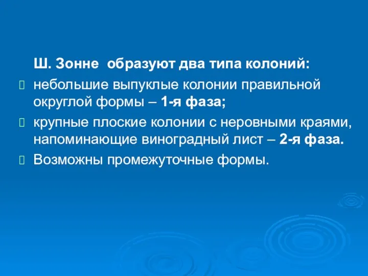 Ш. Зонне образуют два типа колоний: небольшие выпуклые колонии правильной округлой формы