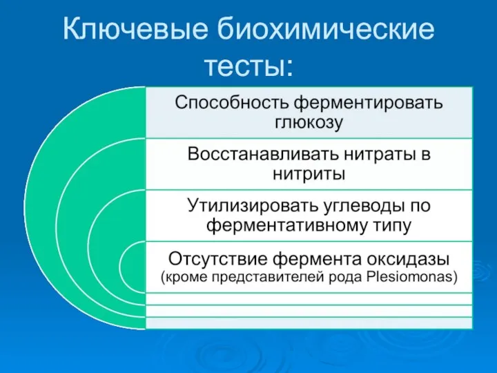 Ключевые биохимические тесты: