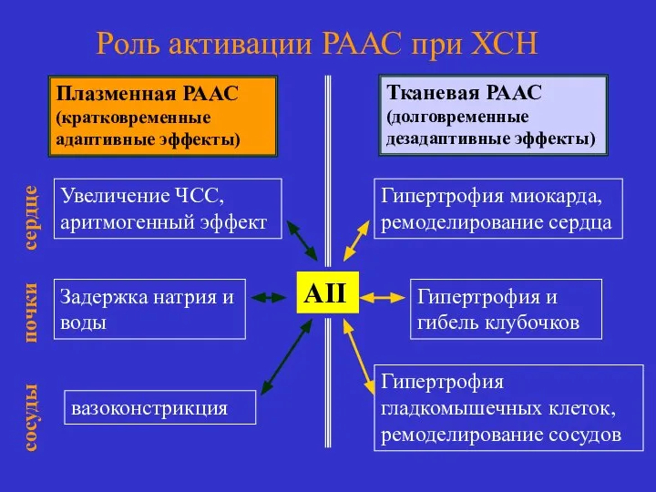 Роль активации РААС при ХСН Плазменная РААС (кратковременные адаптивные эффекты) Тканевая РААС