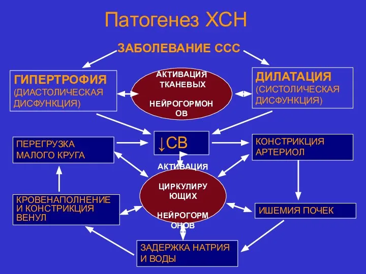 Патогенез ХСН ЗАБОЛЕВАНИЕ ССС ГИПЕРТРОФИЯ (ДИАСТОЛИЧЕСКАЯ ДИСФУНКЦИЯ) ДИЛАТАЦИЯ (СИСТОЛИЧЕСКАЯ ДИСФУНКЦИЯ) ↓СВ ПЕРЕГРУЗКА