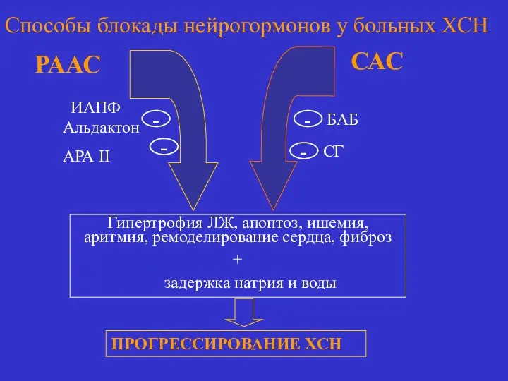 РААС САС Гипертрофия ЛЖ, апоптоз, ишемия, аритмия, ремоделирование сердца, фиброз + задержка