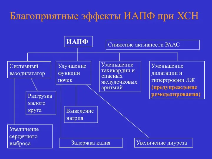 Благоприятные эффекты ИАПФ при ХСН ИАПФ Улучшение функции почек Уменьшение тахикардии и