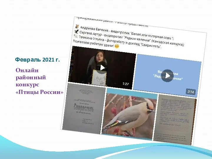Февраль 2021 г. Онлайн районный конкурс «Птицы России»