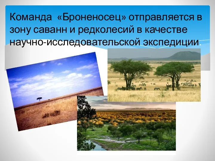 Команда «Броненосец» отправляется в зону саванн и редколесий в качестве научно-исследовательской экспедиции.