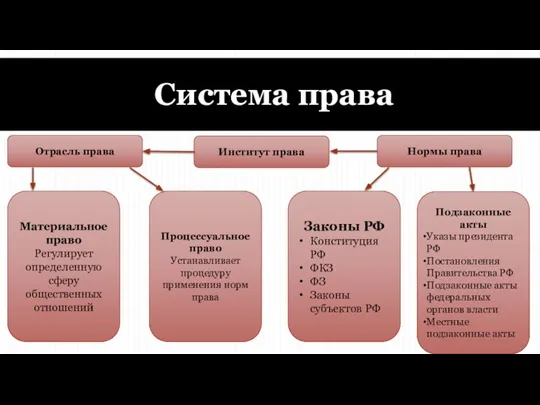 Система права Институт права Отрасль права Нормы права Материальное право Регулирует определенную